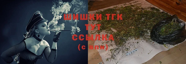 шишки Армянск
