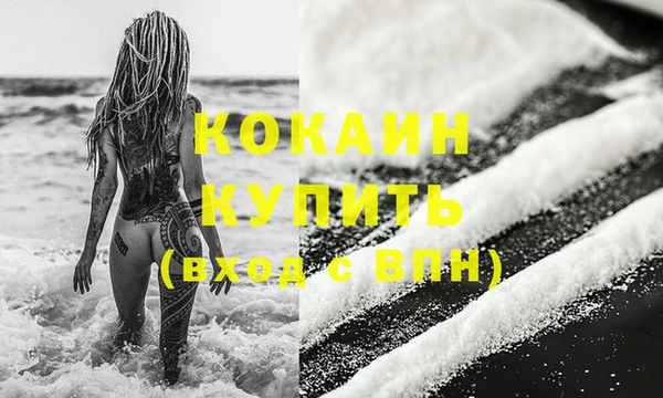 шишки Армянск