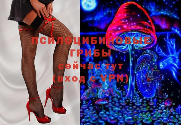 прущие грибы Саяногорск
