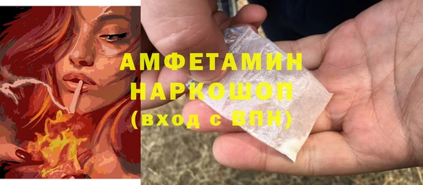 шишки Армянск
