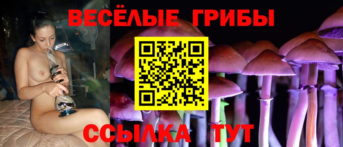 Галлюциногенные грибы MAGIC MUSHROOMS  Вход с VPN  Псилоцибиновые грибы GOLDEN TEACHER  Нарьян-Мар 